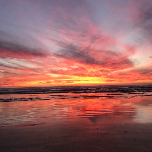 Meet your Posher, Maya - Picture 1 of 1